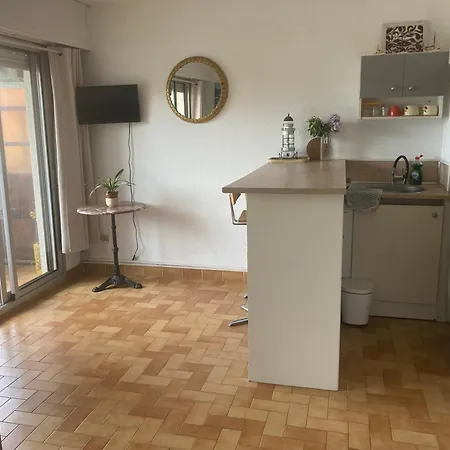 Bleu Soleil - 23 M2 - Balcon - Port Et Plages