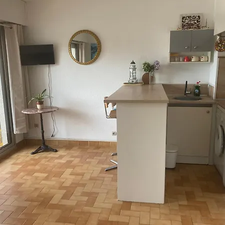 Bleu Soleil - 23 M2 - Balcon - Port Et Plages